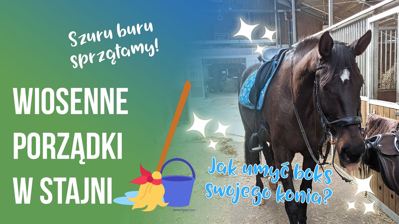 VLOG #3 WIOSENNE PORZĄDKI W STAJNI | Sprzątanie boksu dla konia i jak zająć się kurzem po zimie