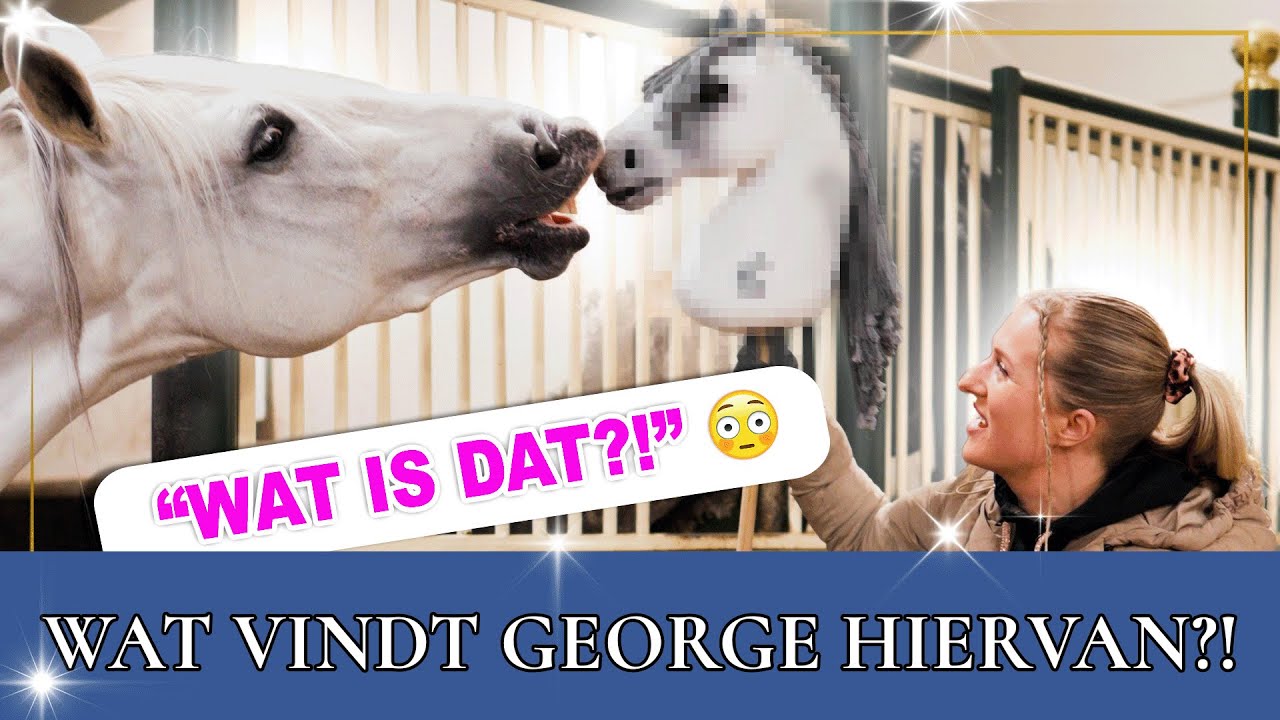 Mijn paard ontmoet zijn eigen Hobby Horse 😱🐴 | PaardenpraatTV