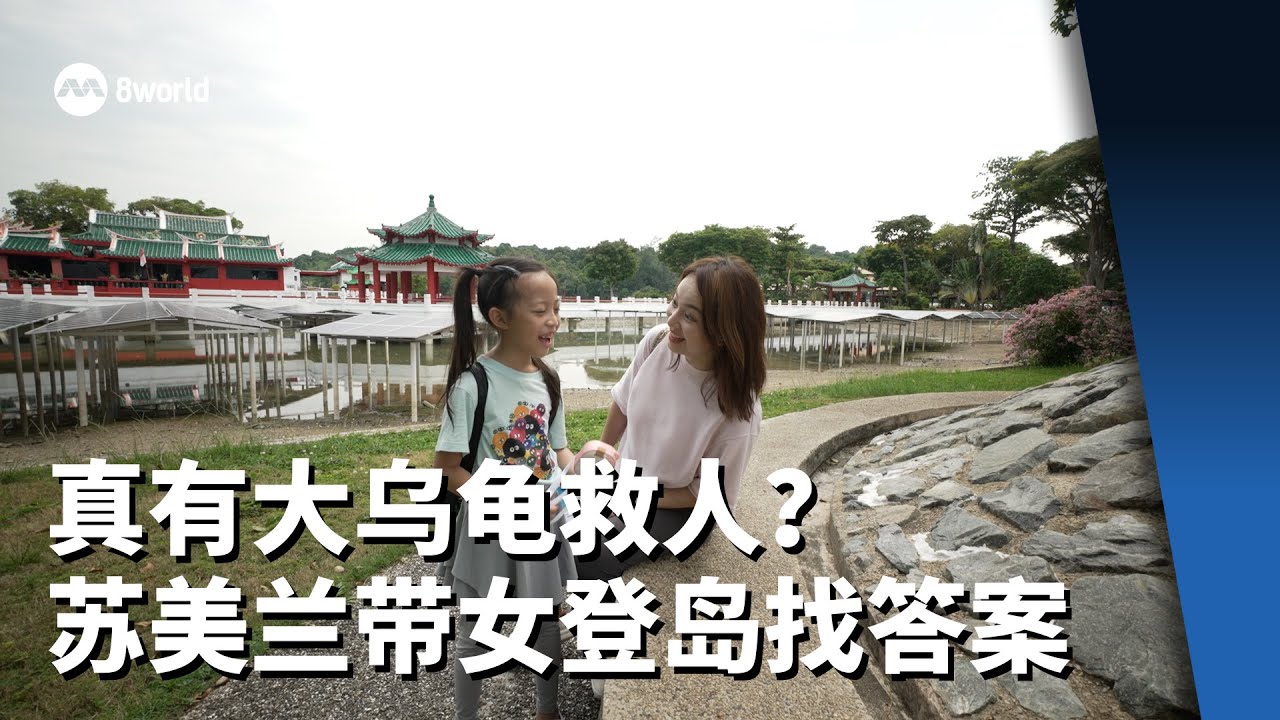 【看见主播 | 苏美兰】大乌龟化身小岛救人 从美丽传说认识我国历史