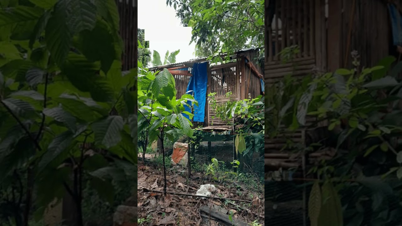 Aborlan Mimaropa Palawan 25,000 sqm 2.5M only