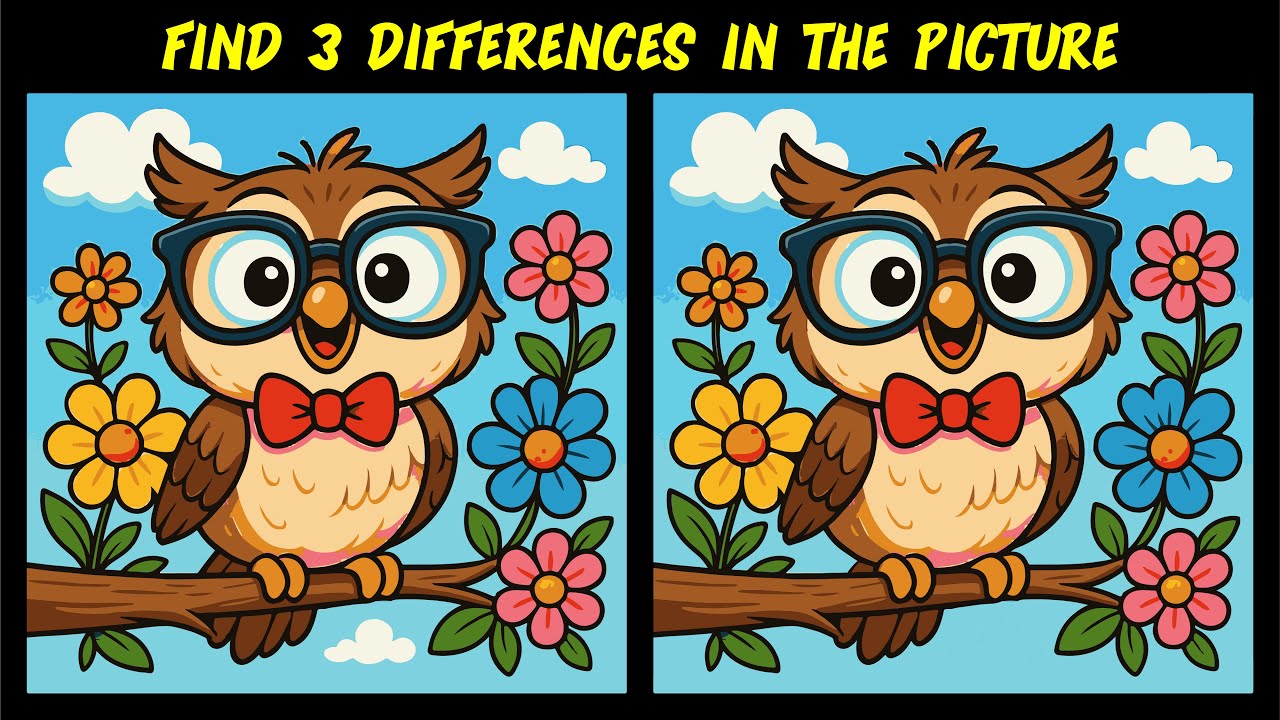 CAN YOU FIND 3 DIFFERENCES IN THESE PICTURES? - part 11