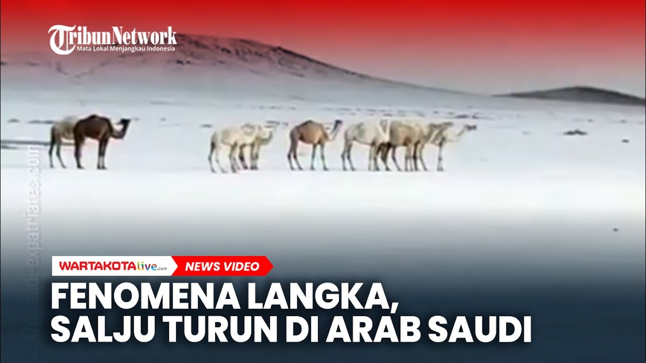 Fenomena Langka Salju Tebal Turun di Arab Saudi