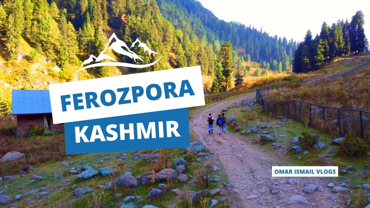 From Scenic Beauty to Delicious Meals: Srinagar to Ferozpora Motovlog