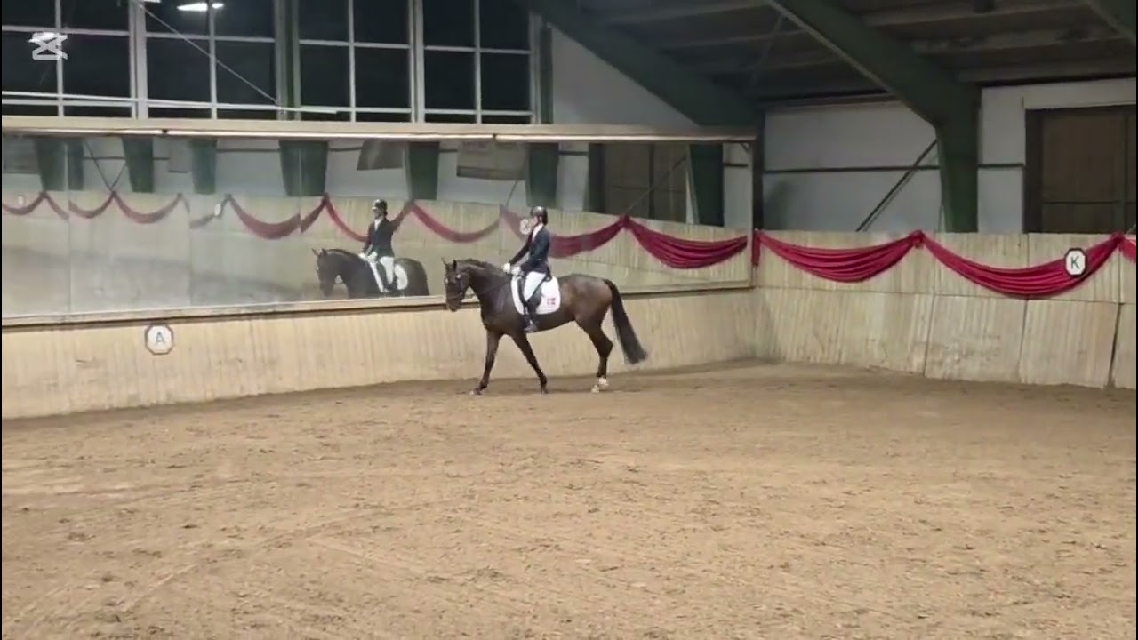 Annika Horse Eventing Music Video Sabino Sandro Tattooo Debut i LA1 med 67,9% & en flot 2. Plads