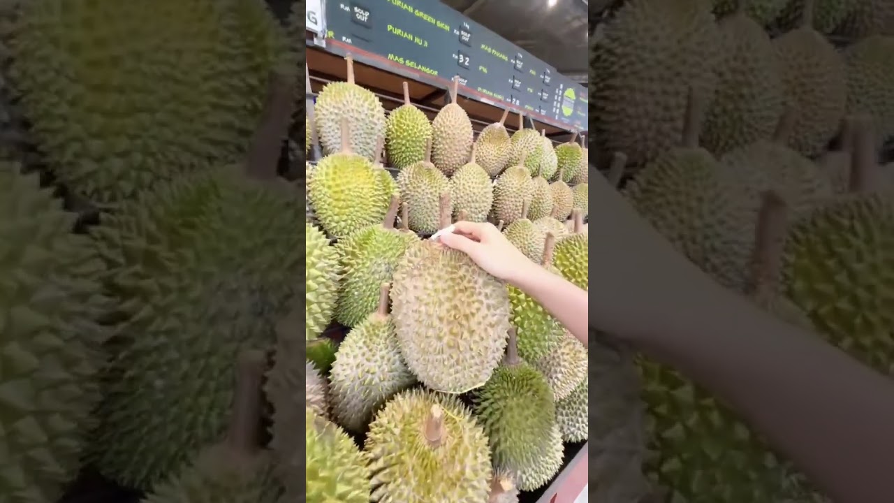 Dato Aliff Syukri Lebih Suka Durian Udang Merah Berbanding Musang King