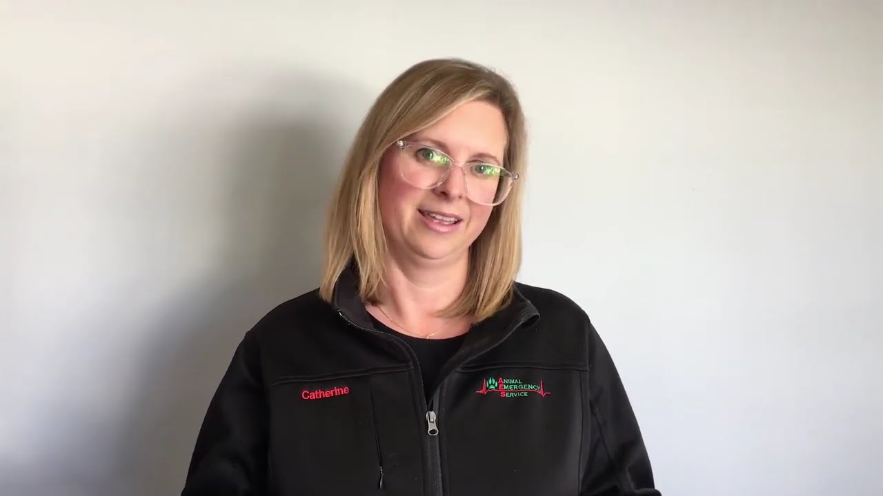 Career Pathing at Animal Emergency Australia