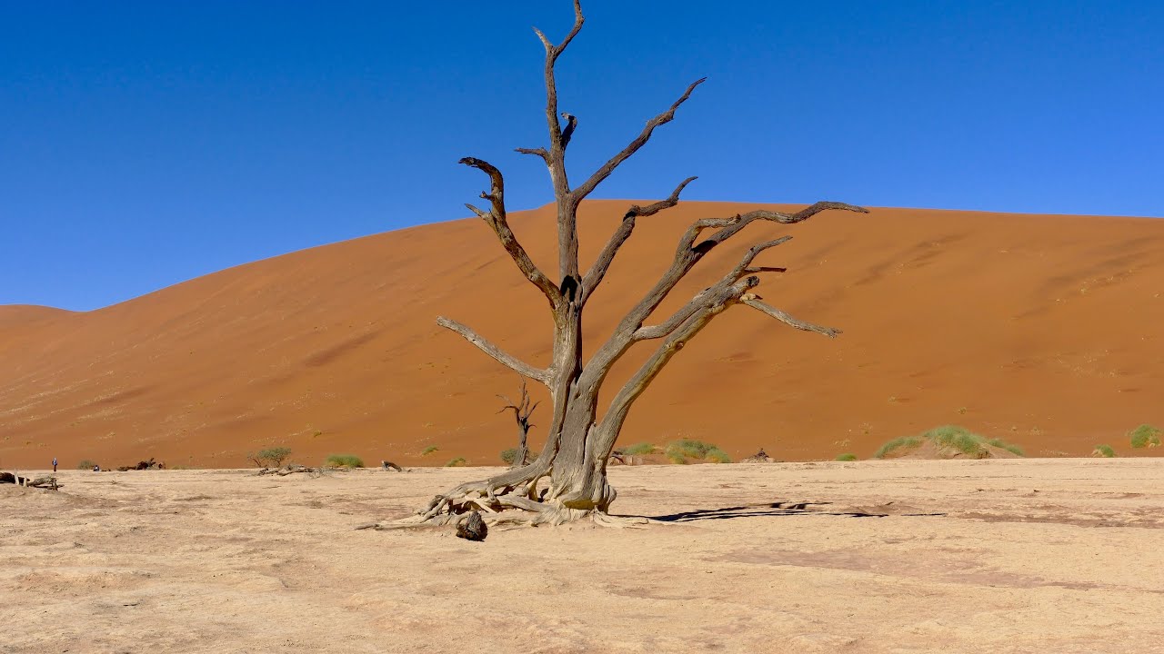 Namibia, Botswana und Victoria Falls zum Nachfahren