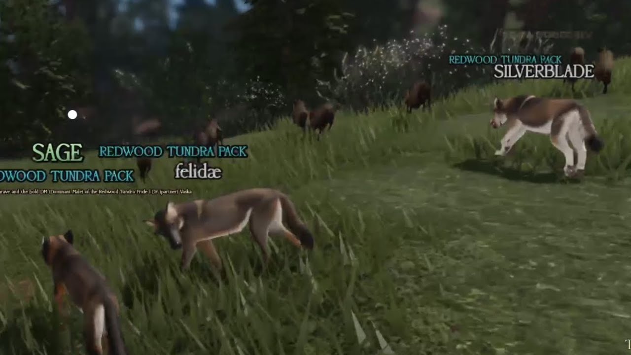 Wolves Quietly Claiming Hunting Grounds At Night | Dire Wolves | Part 5 | Ecos: La Brea