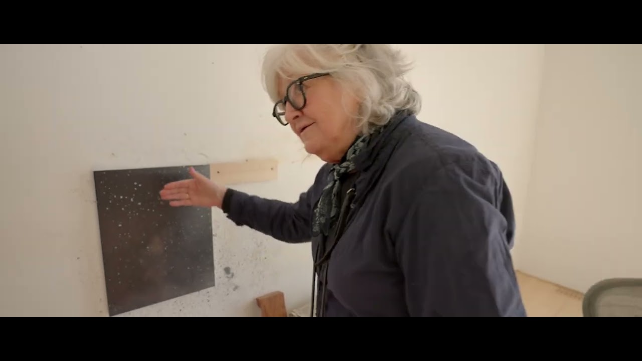 Vija Celmins