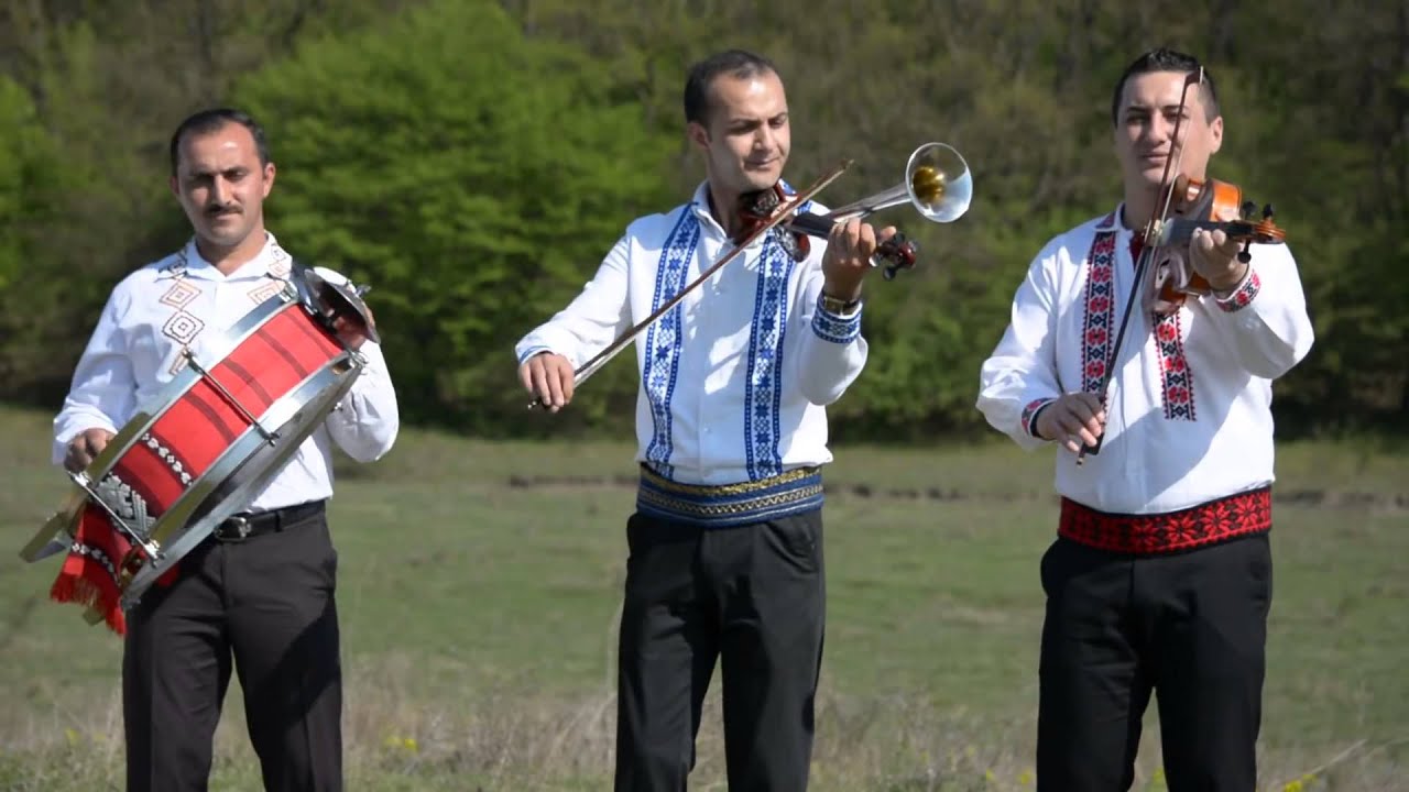 Dan Moisa   Pe Picior
