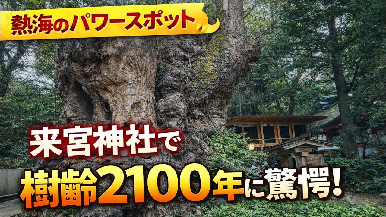 熱海を旅して出会った圧倒的な存在感。来宮神社の大楠