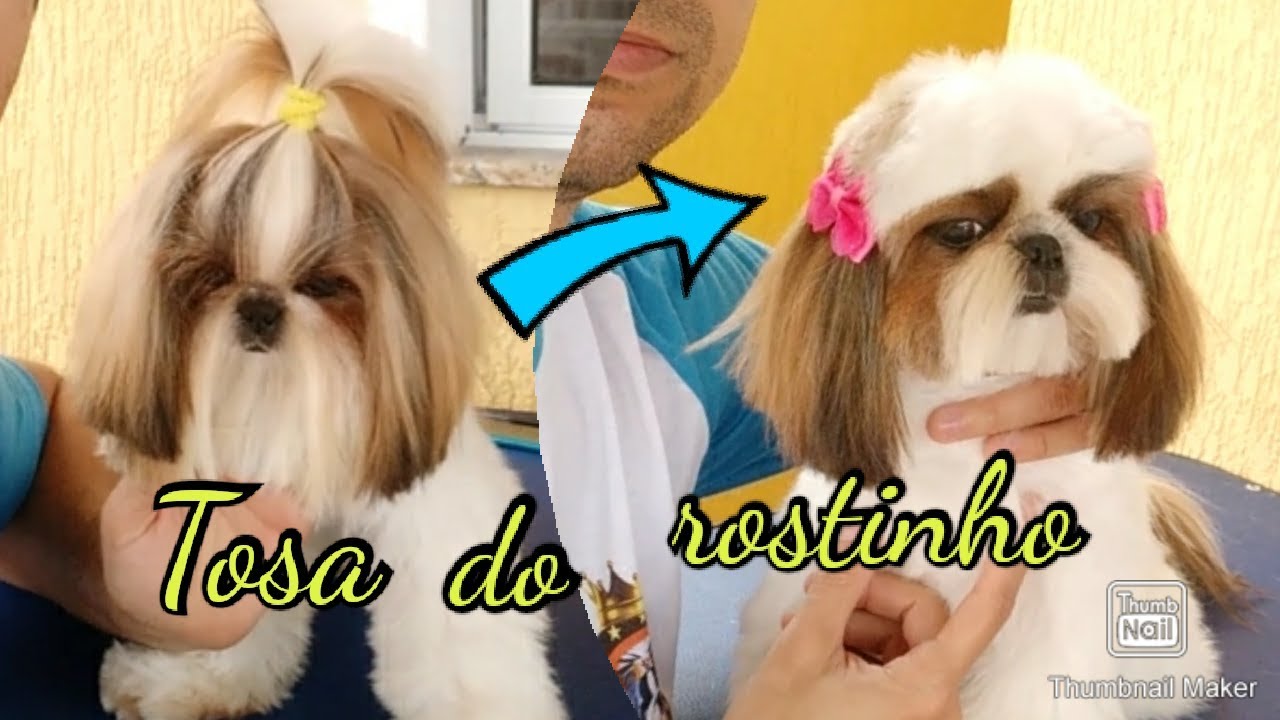 TOSA DO ROSTINHO