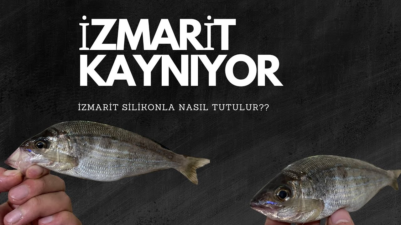 İSTANBULDA SİLİKONLA İZMARİT AVI-İZMARİTLER KAYNIYOR #balıkçılık #lrf #fishing #aji #Lrfzamanı