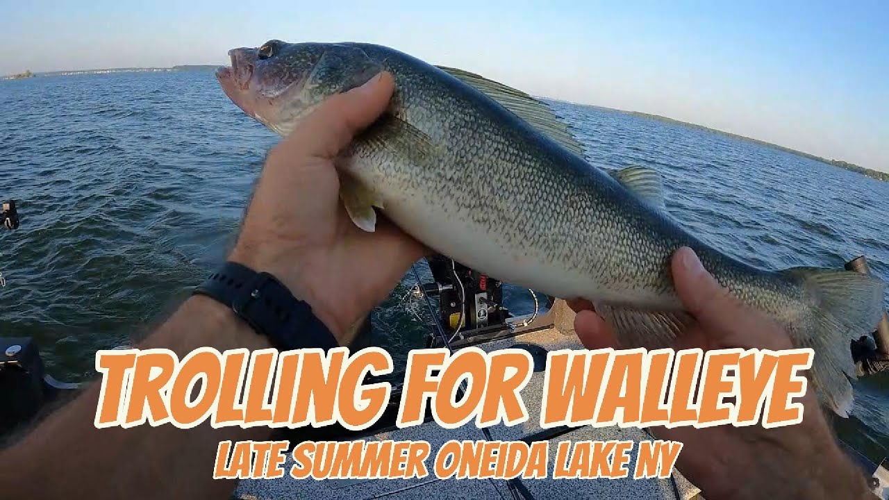 Trolling for walleye Oneida Lake Late Summer