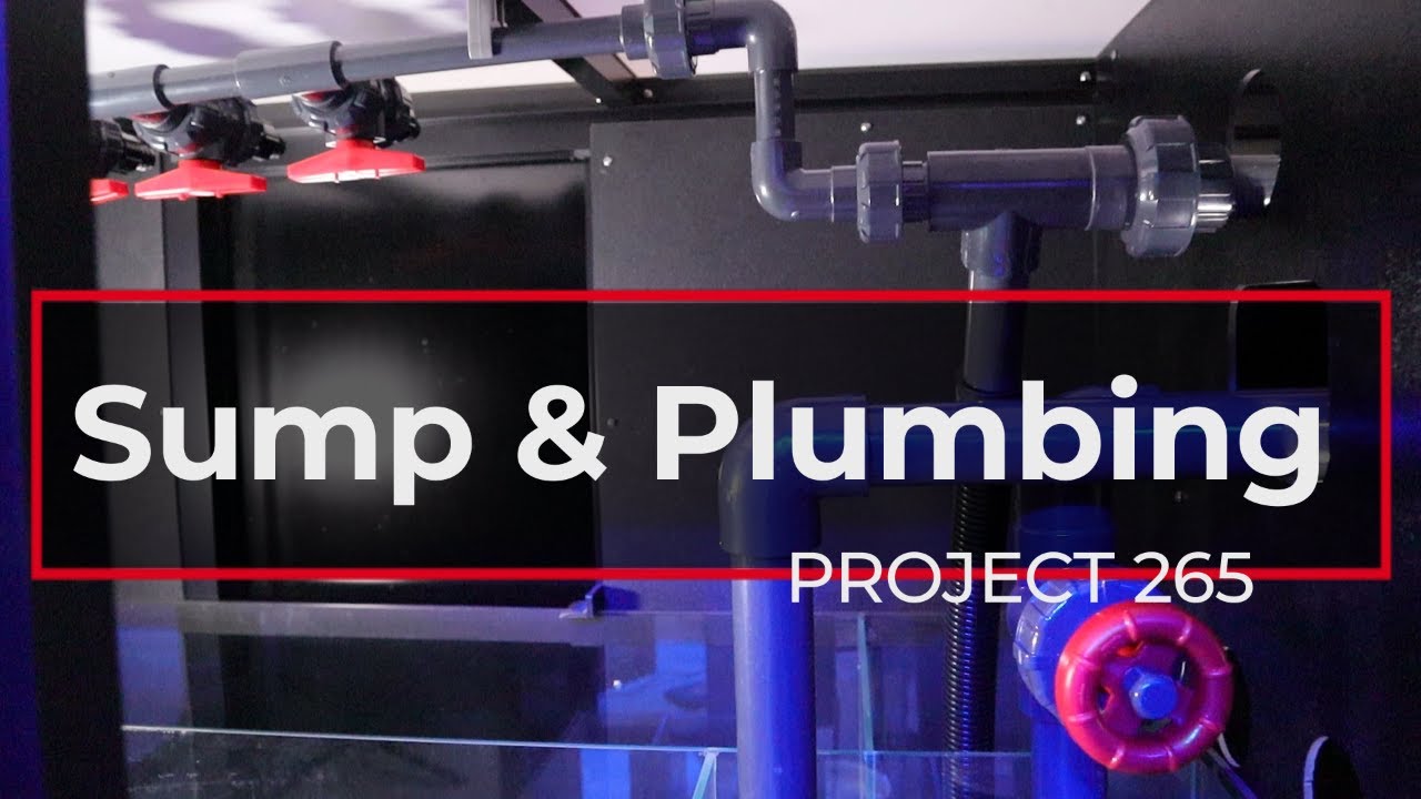 Cade 1800 S2 Peninsula Saltwater Aquarium: Sump And Plumbing