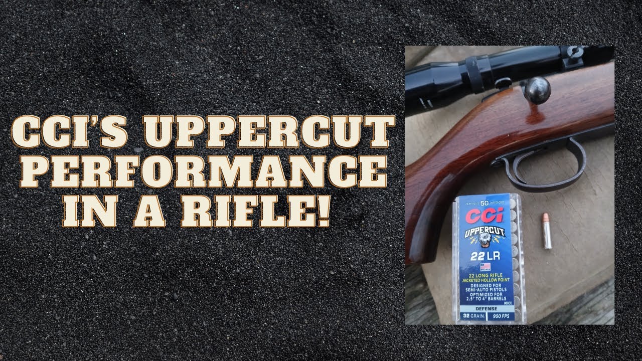CCI Uppercut .22  Performance From A Rifle