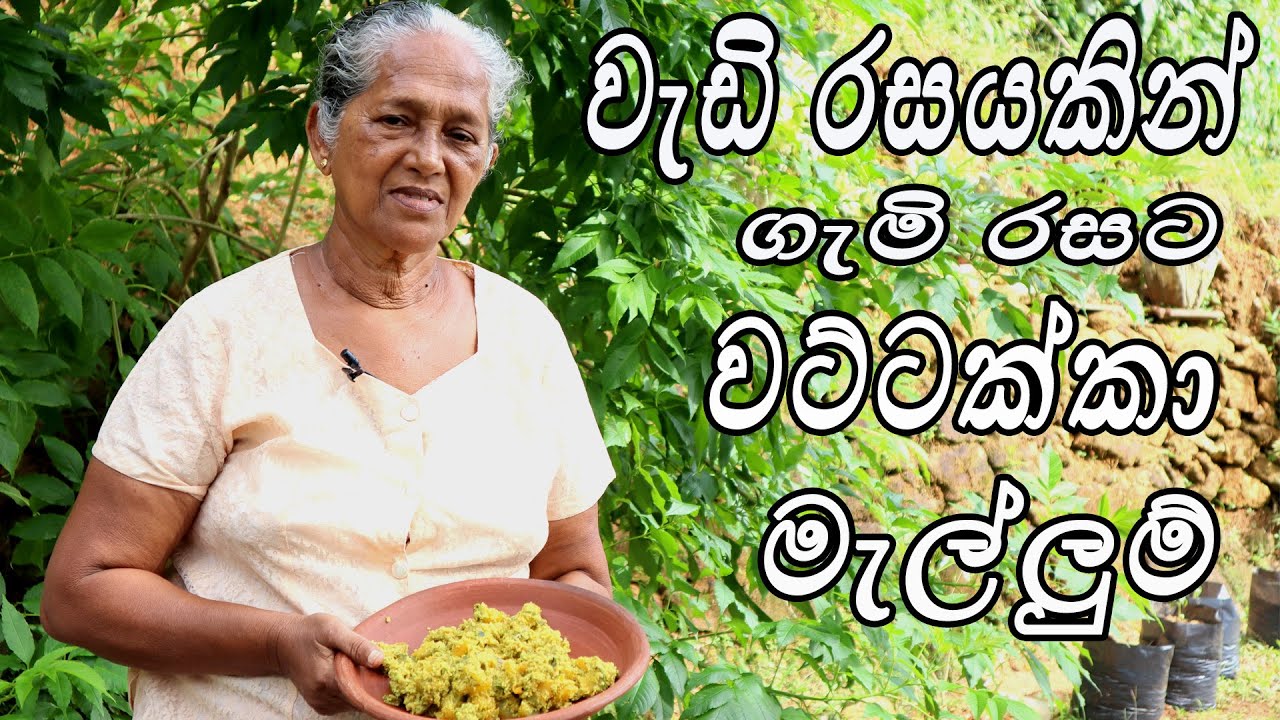 වට්ටක්කා මැල්ලුම් - Pumpkin mallow