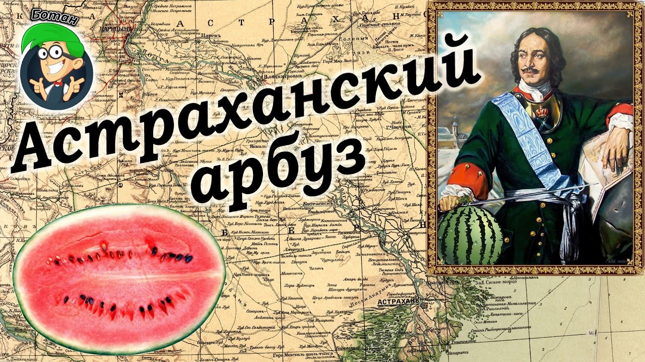 Астраханский арбуз