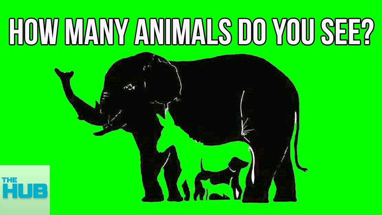 10 Surprising Tests That Reveal Your True Intelligence