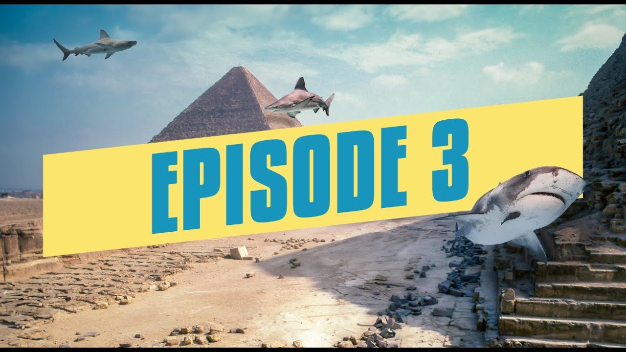 هدي حسني مشروع 