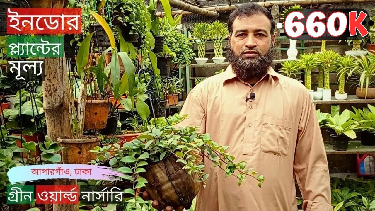 Indoor Plants Price In Green World Nursery | ইনডোর প্ল্যান্টের মূল্য | Gardening Bangladesh