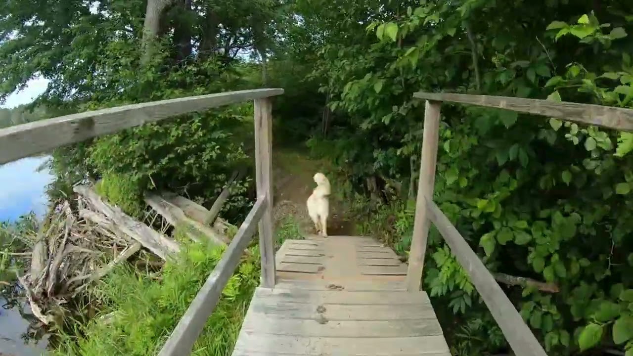 A Visit to Samuel de Champlain Provincial Park