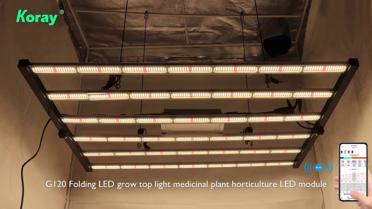 Koray LM301H+Osram 630W Folding Horticulture Fluence Spydr 2p Commercial Led Grow Light Bar Fixture