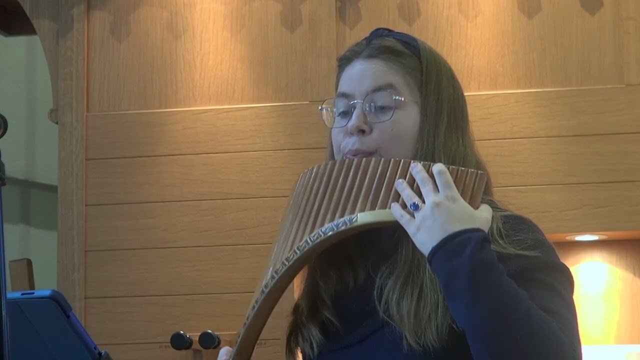 Warner Fokkens, Carla Bos en Henske Bakker - Le Cygne (C. Saint-Saens)