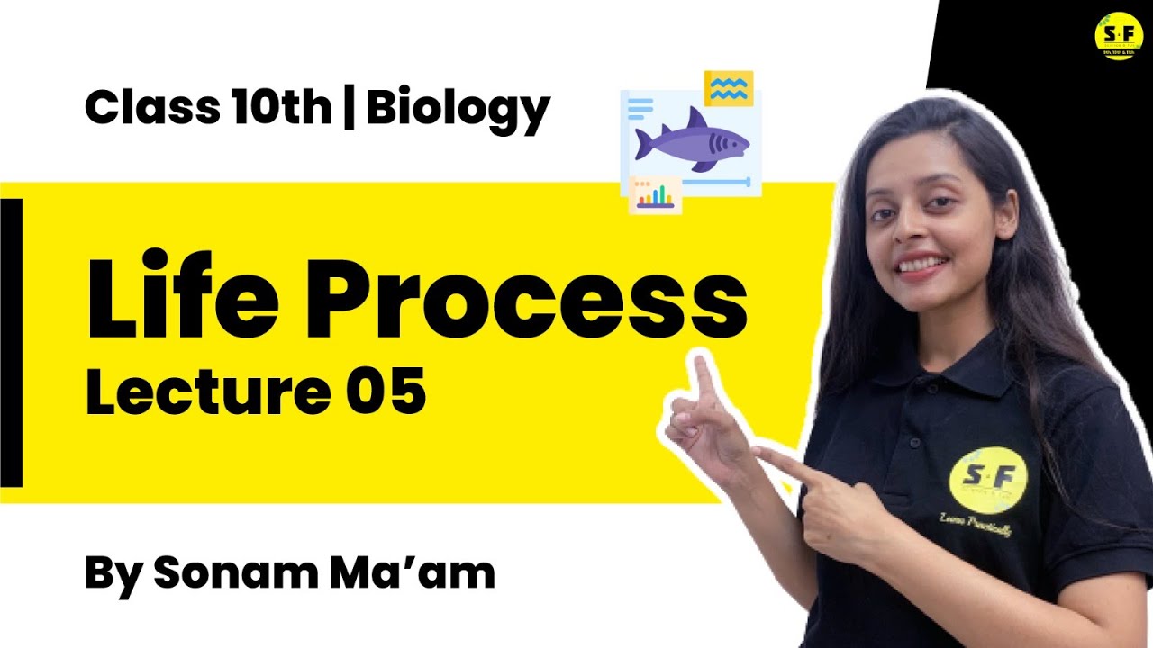 Class 10th Biology Life Process Transportation in plants  Lecture 5 with Sonam Maam
