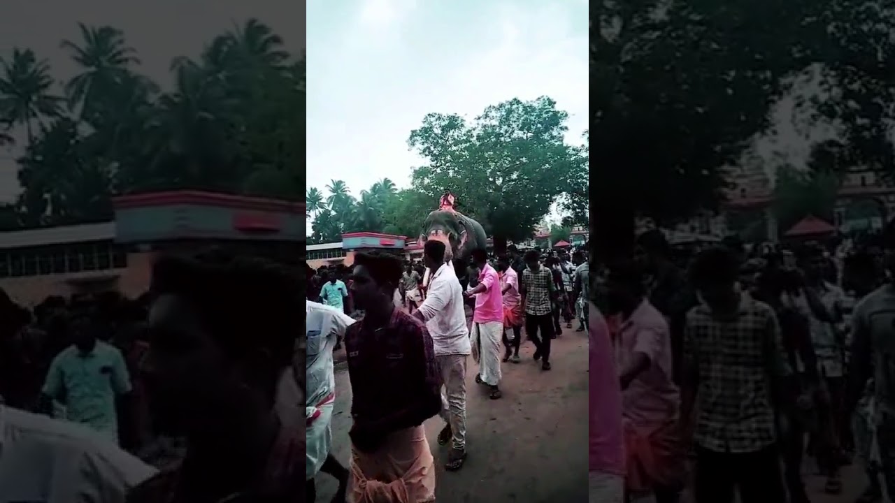 Puthuppally keshavan mass entry