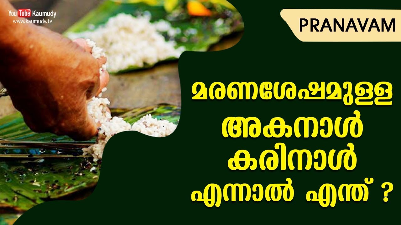 മരണശേഷമുള്ള അകനാൾ കരിനാൾ എന്നാൽ എന്ത് ? | Subhash Tantri | Pranavam