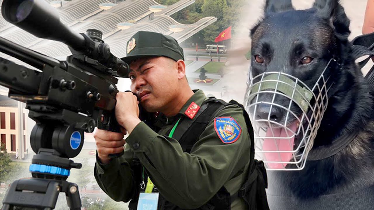 Đặc nhiệm bắn tỉa trên điểm cao và chó nghiệp vụ bảo vệ Đại hội Đảng lần thứ XIV