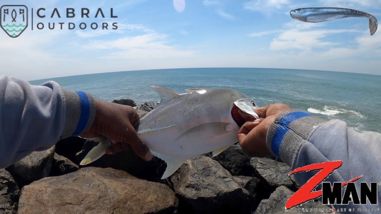 Fishing with Zman SwimmerZ lure in chennai | Lure Fishing E6 | It's Hobby Time