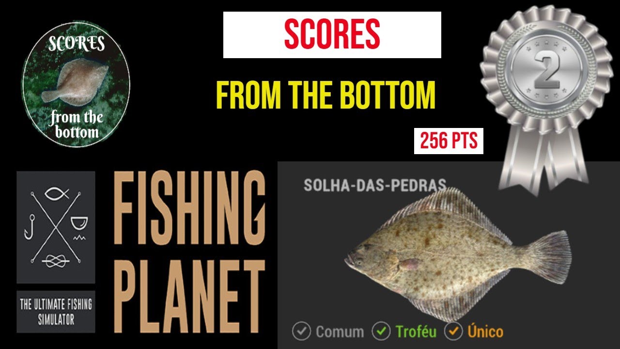 Scores from the bottom 2nd place fishing planet competition