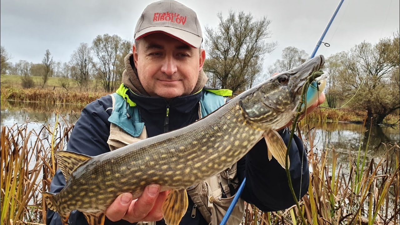 Ribolov štuke na Lonjskom polju/Pike fishing in Autumn (C&R)