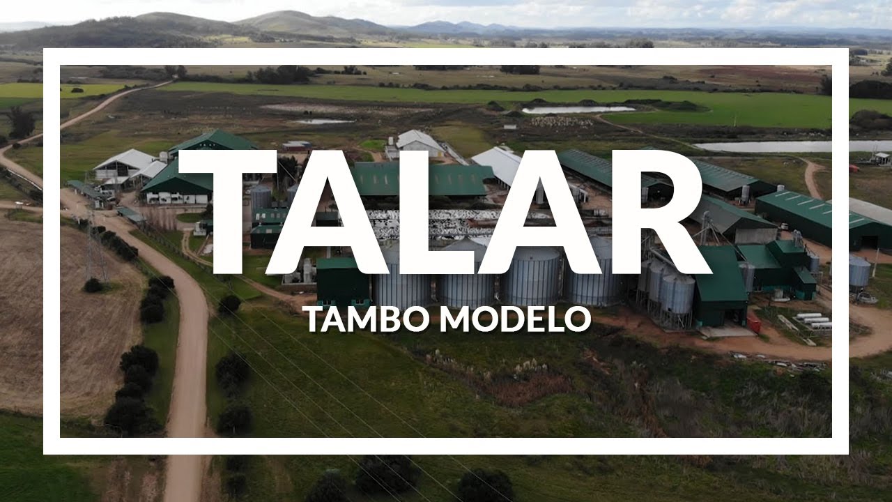 Talar - tambo modelo / programa Contacto