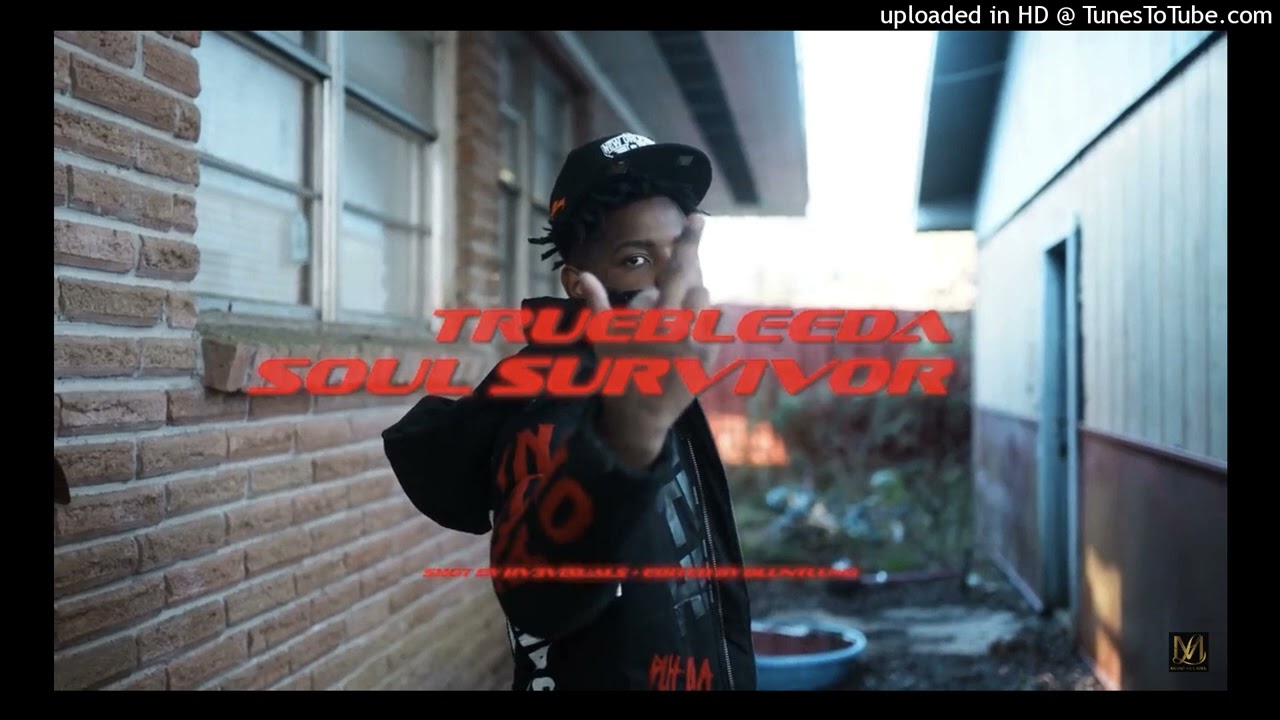 TrueBleeda - Soul Survivor (INSTRUMENTAL)