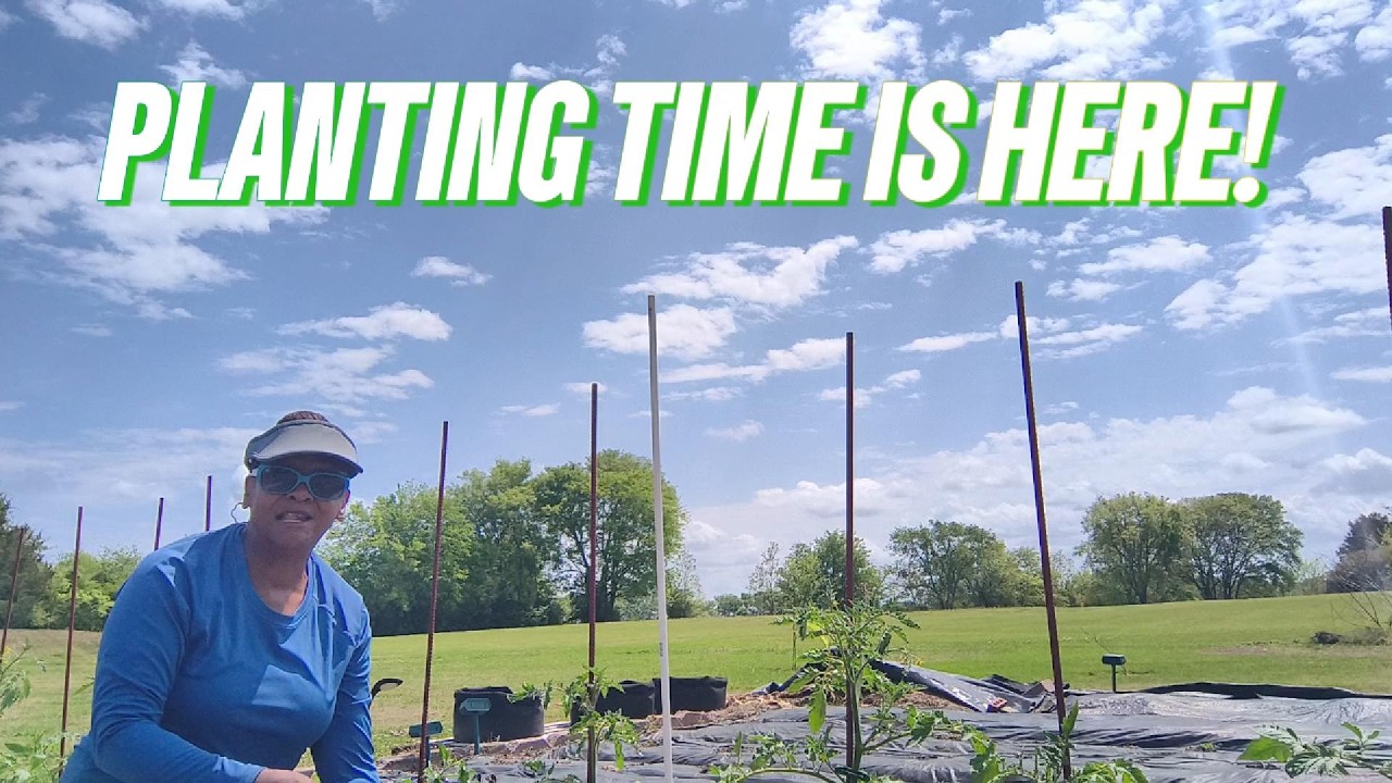 Garden RESET Day! Remaking Rows & Planting for a BIG Spring & Summer Harvest