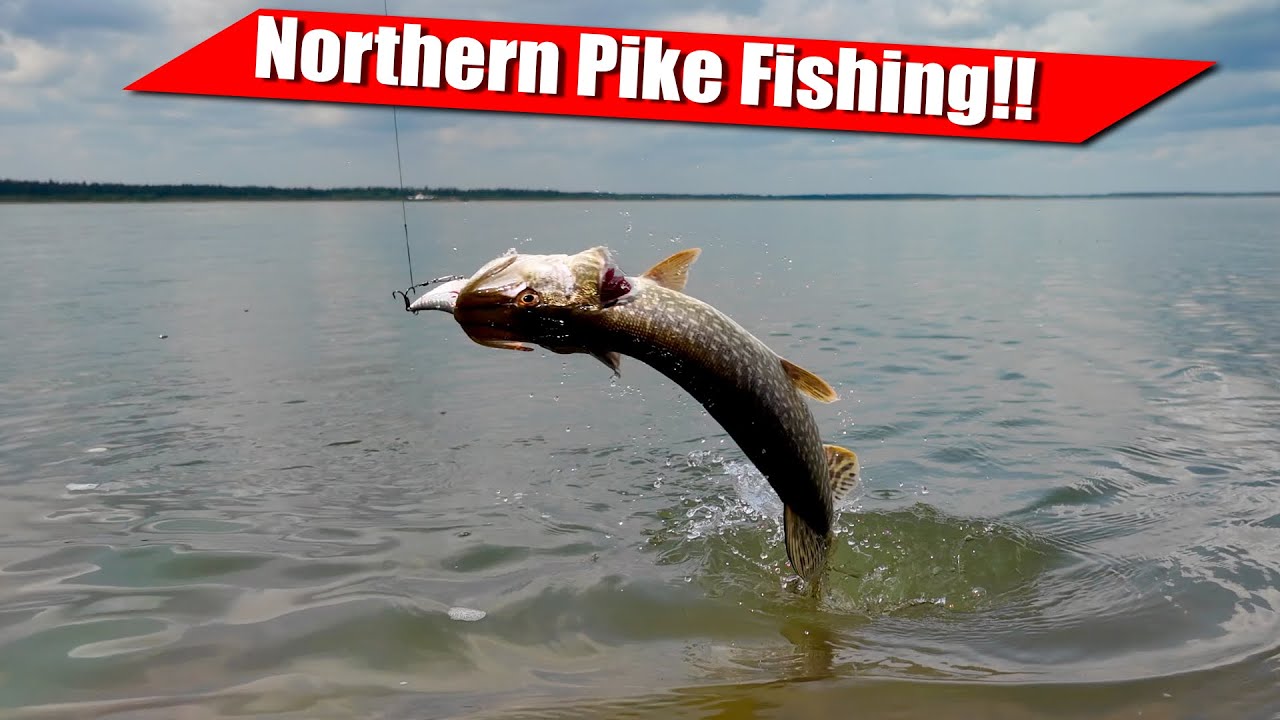 North West Territories Canada Fishing Trip | St. Croix® Premier Split-Grip Spinning Rod