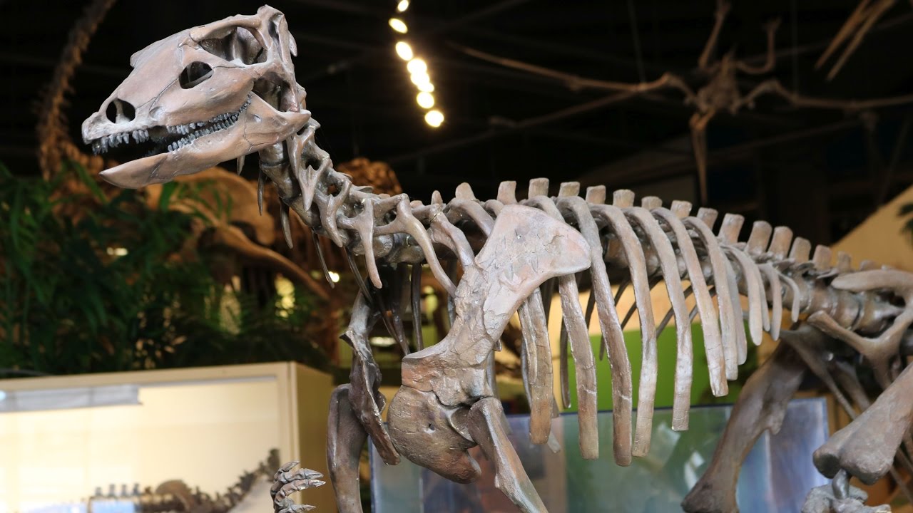 #36 Dinosaur Leg Work: Reconstructing Thescelosaurus
