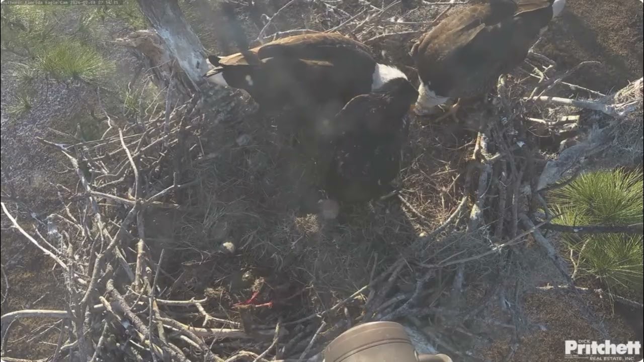 SWFL. Lovely family breakfast  💞 / 07:52 / 2026-02-08