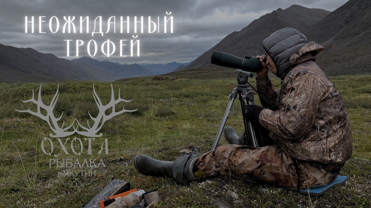 Неожиданный трофей