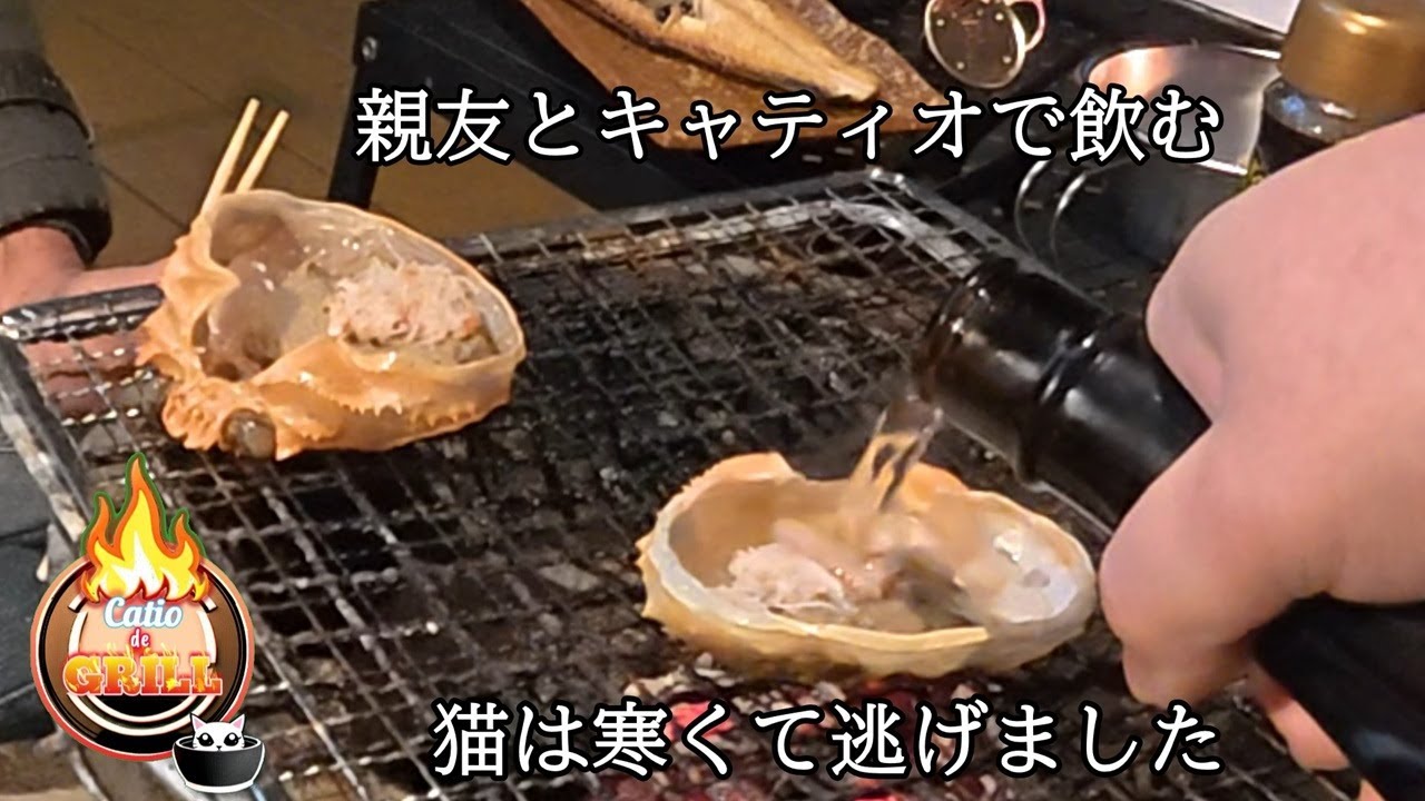 【猫は出ません】キャティオで親友と二人のみ