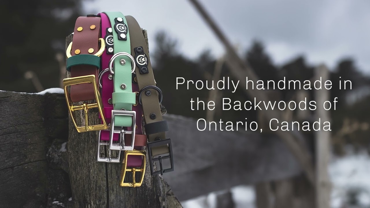 Backwoods Dog | Rugged Dog Gear for Every Adventure