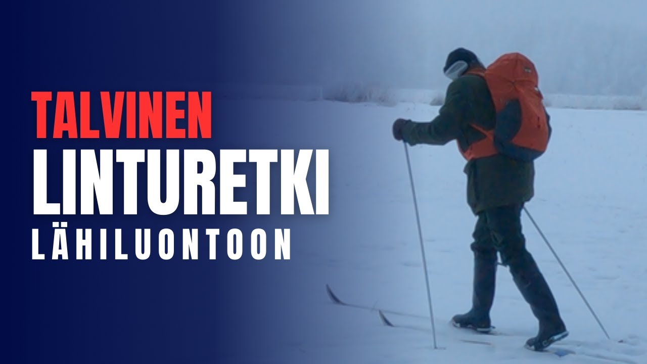 Talvinen linturetki Höytiäisen kanavan suistoalueelle metsäsuksilla | Uuden retkikeittimen testaus