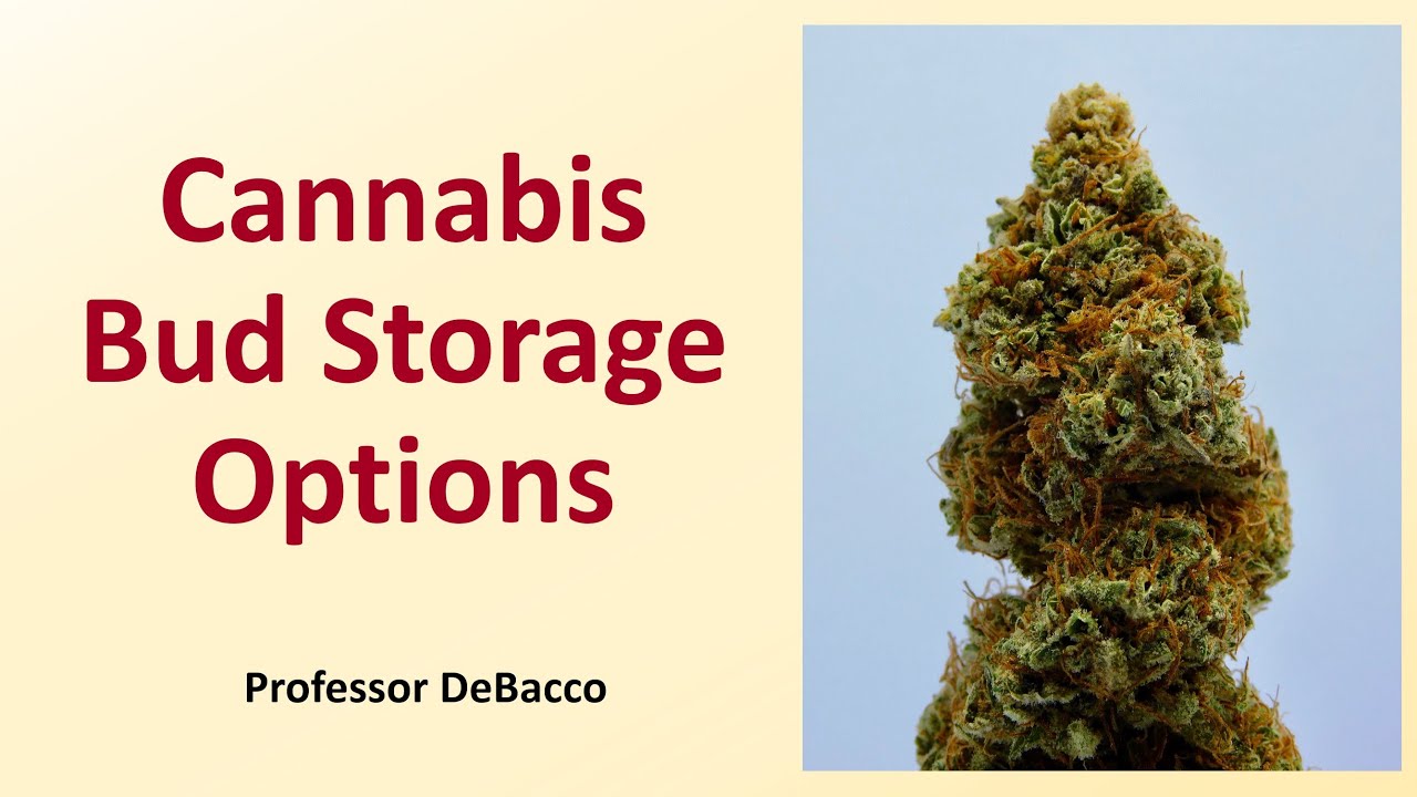 Cannabis Bud Storage Options