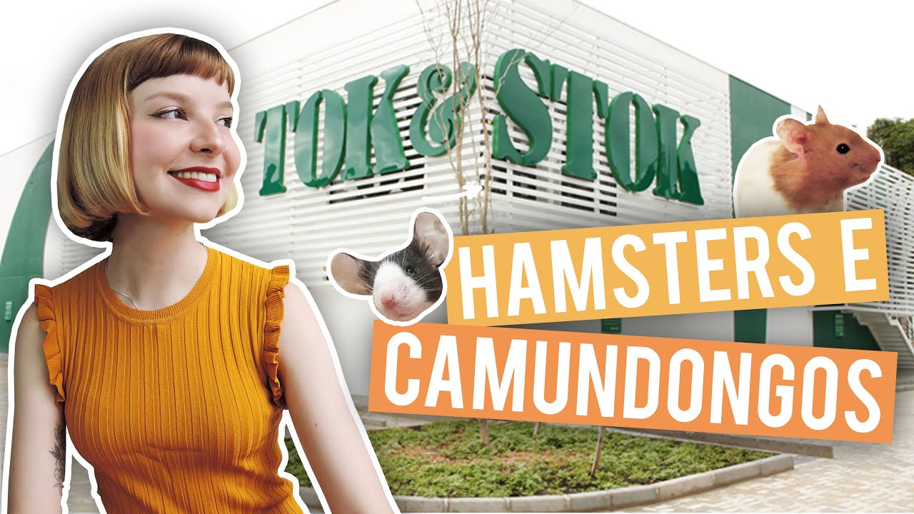 Procurando produtos para hamsters e camundongos na Tok&Stok