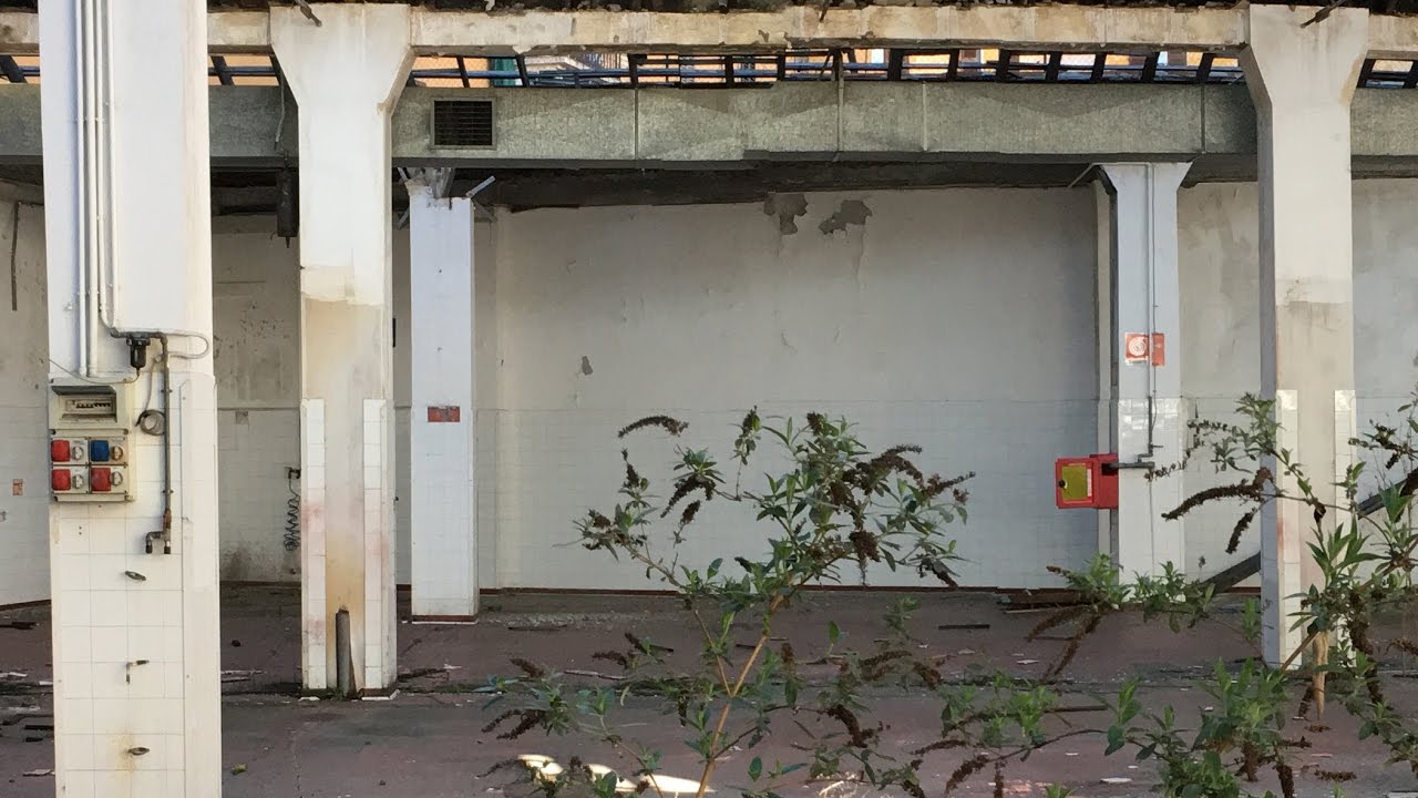 RAID | Sfornare Mondi | Camera fissa (Live Dj)