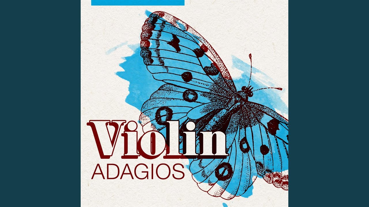 Violin Sonata No. 2: I. Autumn (Adagio maestoso - Allegro moderato)