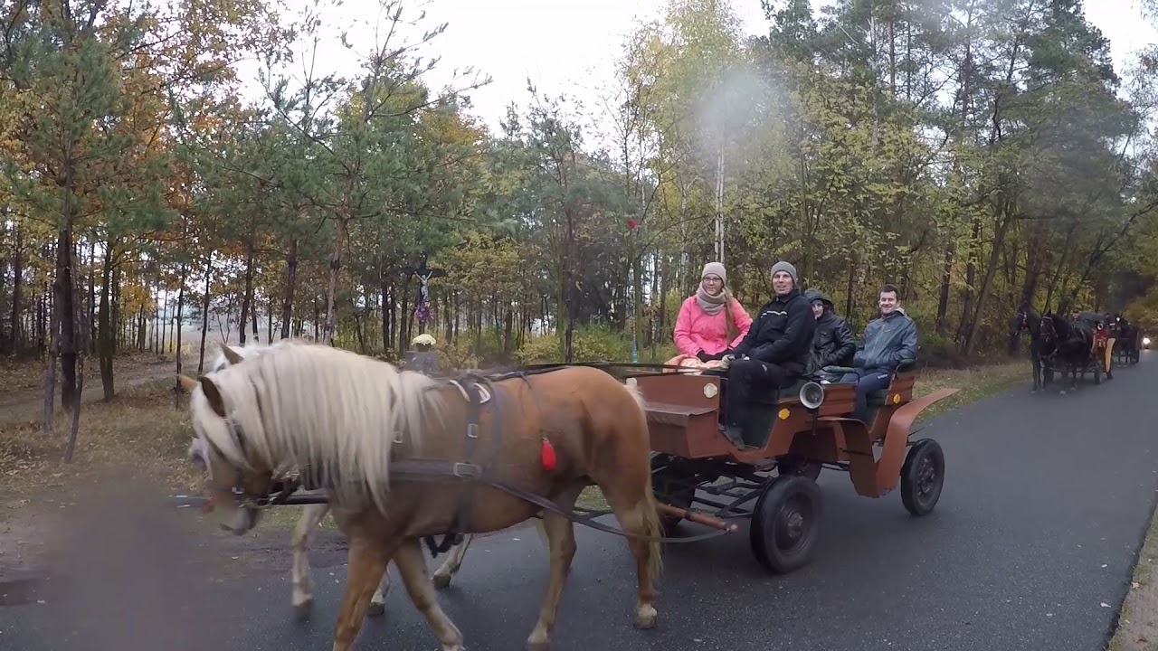 Parada konna Donabor&oacute;w 2018